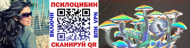 даркнет Telegram  где продают наркотики  Нестеровская  Галлюциногенные грибы Cubensis 